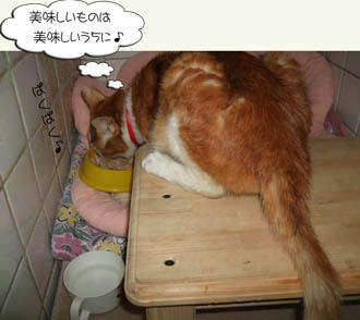 そのと~りだね♪