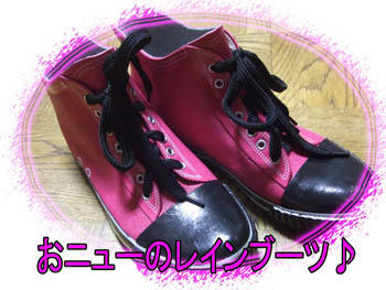 おニューってスッテキ～♪~♪ d(⌒o⌒)b♪~♪ﾗﾝﾗﾝ