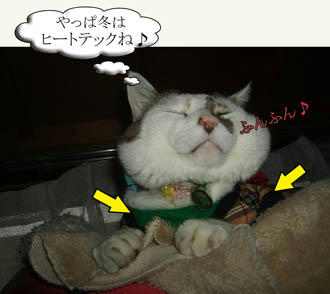 もう、手放せないわねｗｗ
