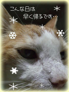 (｀◇´)ゞｱｲｱｲｻｰ!オコタでぬくぬくさ～♪