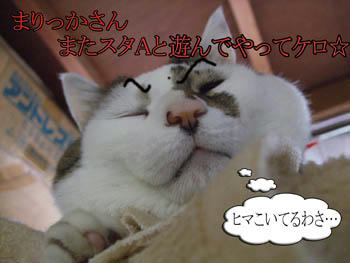 （￣ー￣（＿　＿（￣ー￣（＿　＿そうそう 