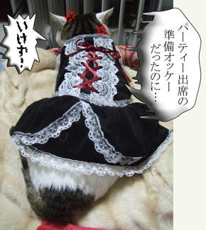 似合ってないわっ!!