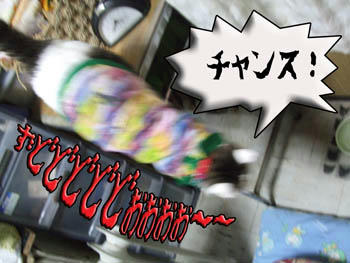 ヽ(∴｀┏Д┓´)ﾉ彡☆ｺﾗｰｯ!