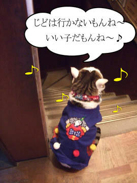 (ーー；)．。ｏＯ(ホントか？)
