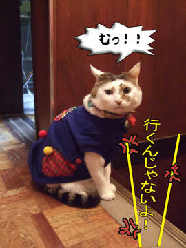 行ったらダメなのっ！
