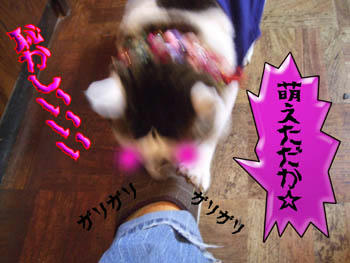 またそれかいっ！