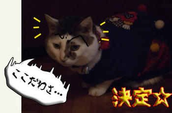 そこどこさ?