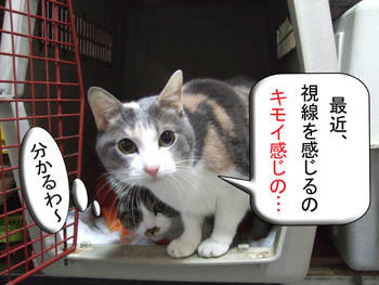 やっぱ?Σ( ̄Д ̄;)