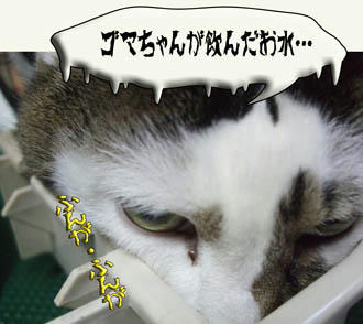 ( (　(＿＿|||)　) )　どよぉ～ん。。。