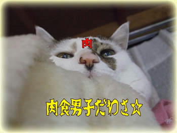 (￣ω￣;)！！
