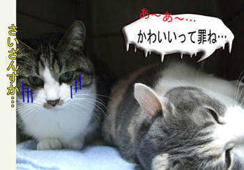 いるよね～、こういう「あぁ、カン違いな女」（爆）
