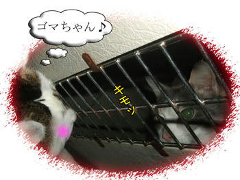 w|;ﾟﾛﾟ|w ﾇｫｵｵｵｵ!!