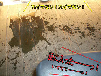 ドッタバタだわさ～