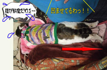 柱|￣m￣) ｳﾌﾟﾌﾟｯいいコンビだわ