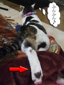 「ふんふん♪」ってことはご機嫌なのね?