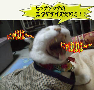 ( ̄ェ ̄;) エッ?