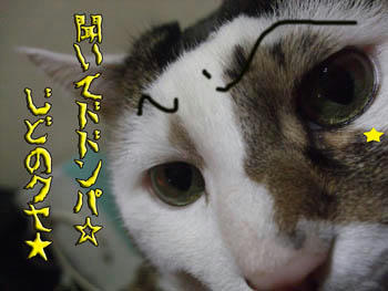 「ちょっと、ちょっと～」（りっこ風）、眉毛、細くね？