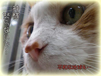 神様が怒ってるの？