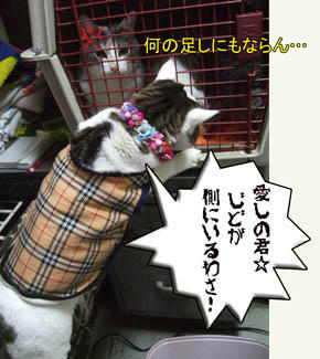 そっちかい…