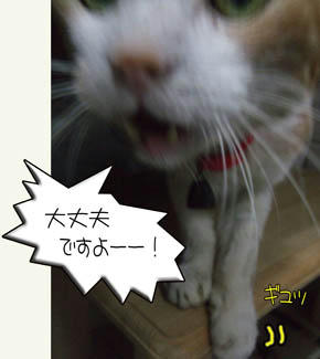 そうだよね（汗