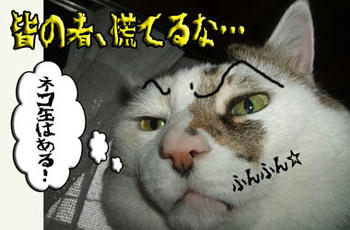 あ、そーー…、ネコ缶はあるもんね(￣‥￣)=3 ﾌﾝ