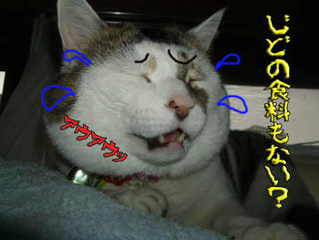 サンプル以外の?(笑)