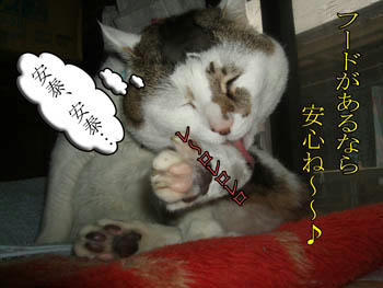 オネエ言葉をしゃべってるとまた「マシコ」って言われるだわさ！