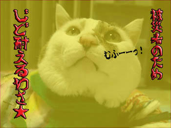 よっしゃーー!でも今日は温かかったもんね(汗