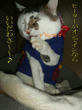 あ、そ～～(￣ﾛ￣;)