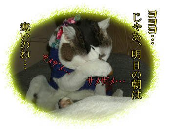 今日も寒かったもんね…
