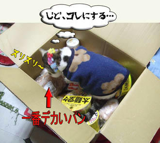 これこれ、食べ物の上に乗るんでない！