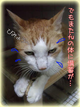 ｱﾜﾜ ヽ(□￣ヽ))...((ﾉ￣□)ﾉ ｱﾜﾜ