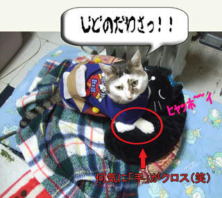 はい、はい。よござんす！