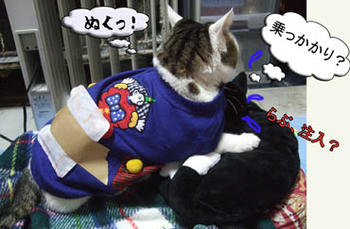 やっぱ乗ったか！