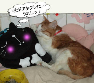 湯たぽんはタンタンに抱きつかれる事、少なかったもんな～（笑）