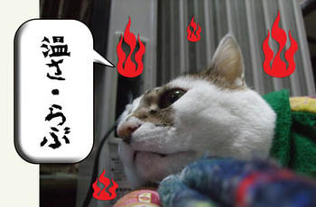 温さがあれば幸せだもんね。