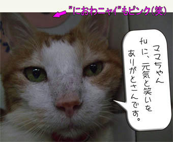 ピンク好きはおぴさんが実証!(笑)