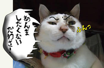 ( -_-)ﾌｯ