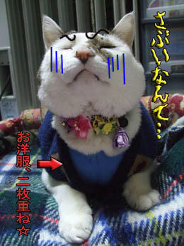 今日は停電してないよ！