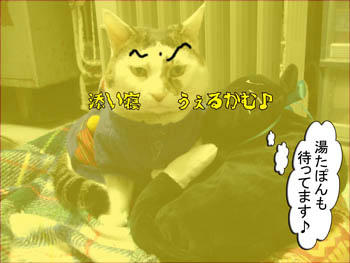 それはないだわさ！