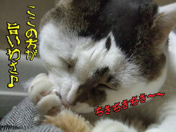 何の味がするのさ？