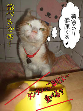いっぱい食べて元気だったもんね。。