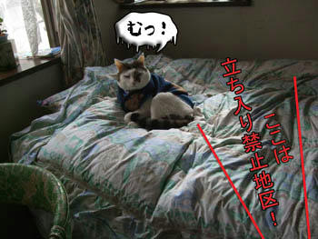 そんな顔してもダメ！