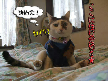 勝手に決めてはいけません！