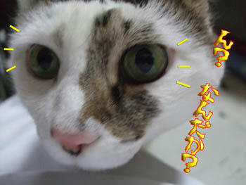 感じたか?
