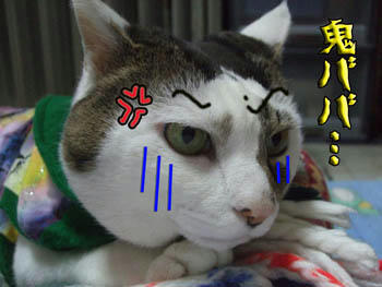 やっぱその言葉か…Σ( ̄ε ̄;|||・・・