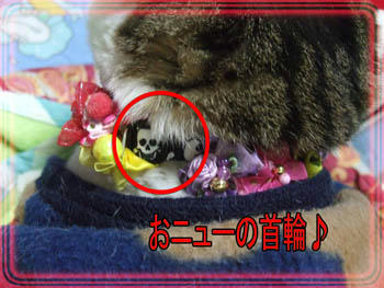 おぴさん、どんこにあげたよ~