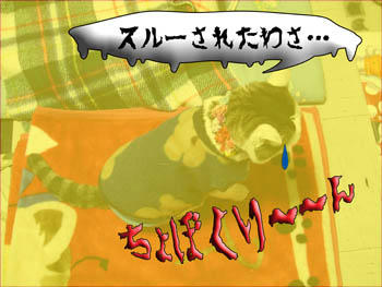こんな時だ、許せ!人( ̄ω ̄;) スマヌ