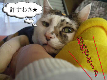 許してくれてありがとござます。(笑)