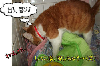 いっぱい、しなさい！